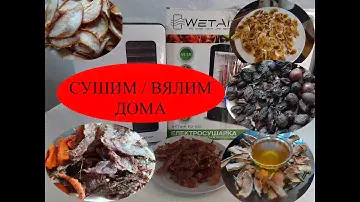Наш лучший выбор сушилки для овощей, фруктов, мяса, рыбы.  Обзор после 1,5 года использования.