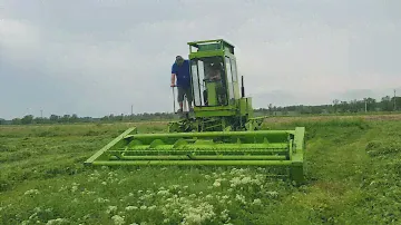 Тестируем Е 302 с установленными ГСТ 90 и шумахером на жатке в боевых условиях